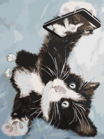 Картина по номерам EX5450 "Котенок делает селфи"