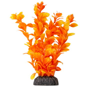 Растение - Людвигия ярко-оранжевая (20см)