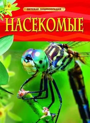 Детская энциклопедия "Насекомые"