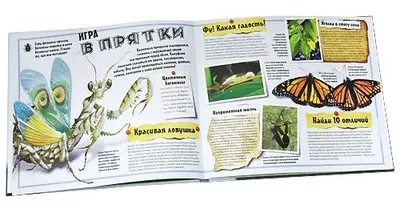 Книга Сюрпризы природы - НАСЕКОМЫЕ — фото 2