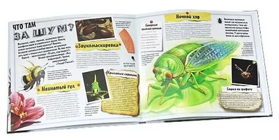 Книга Сюрпризы природы - НАСЕКОМЫЕ