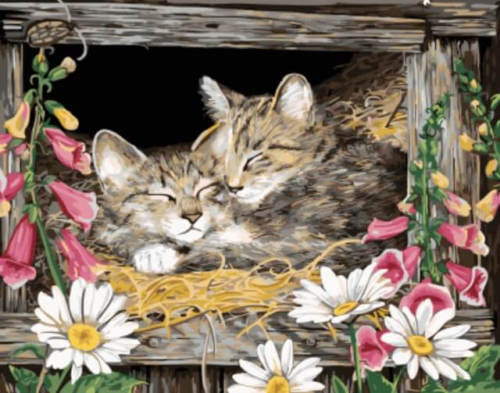 Картина по номерам GX5606 "Котята в гнезде" - 0