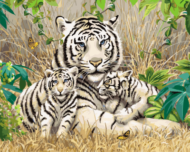 Картина по номерам GX7810 "Белые тигры" - 0