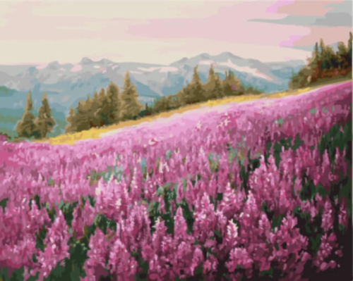 Картина по номерам GX5784 "Розовое поле" - 0