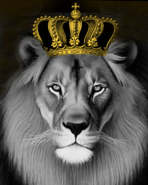 Картина по номерам MG2146 "Король лев" - 0