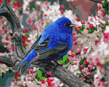 Картина по номерам GX23193 "Синяя птица"