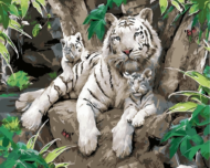 Картина по номерам MG6046 "Белые тигры" - 0