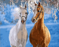Картина по номерам GX31608 "Парочка лошадей" - 0