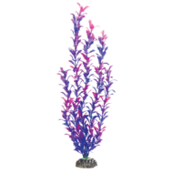 Растение - Людвигия фиолетовая (50см) - 0