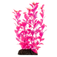 Растение - Людвигия розовая (30см) - 0