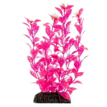 Растение - Людвигия розовая (30см)