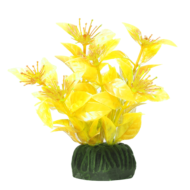 Растение - Людвигия ярко-желтая (10см) - 0