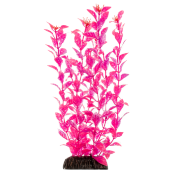 Растение - Людвигия ярко-розовая (40см)