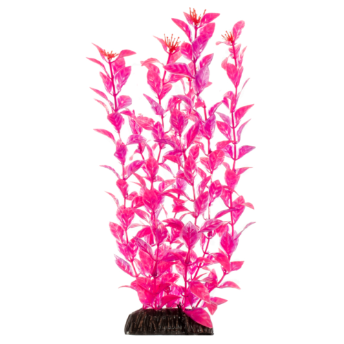 Растение - Людвигия ярко-розовая (40см) - 0