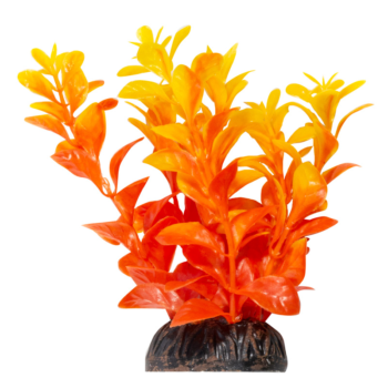 Растение - Людвигия ярко-оранжевая (10см)