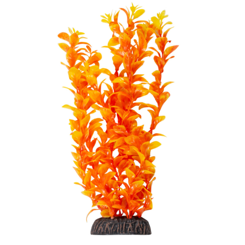 Растение - Людвигия ярко-оранжевая (30см) - 0