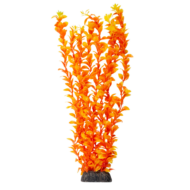 Растение - Людвигия ярко-оранжевая (40см) - 0