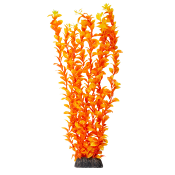 Растение - Людвигия ярко-оранжевая (40см)