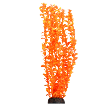 Растение - Людвигия ярко-оранжевая (50см)