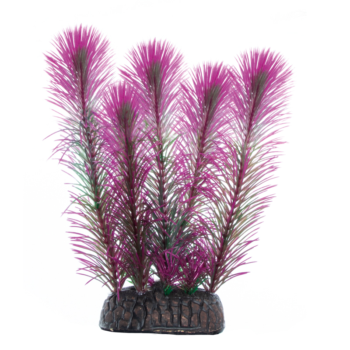 Растение - Перистолистник фиолетовый (10см)