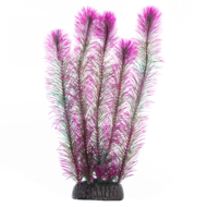 Растение - Перистолистник фиолетовый (30см) - 0