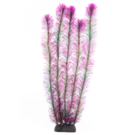Растение - Перистолистник фиолетовый (50см) - 0