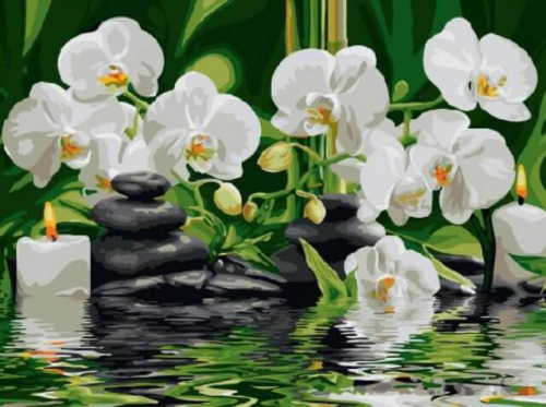 Картина по номерам EX5261 "Орхидеи" - 0
