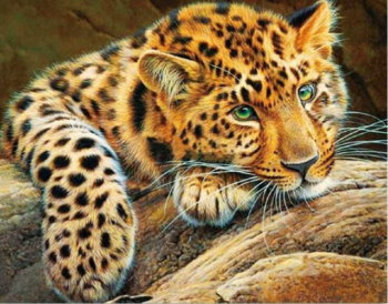 Алмазная живопись LG020 "Африканский леопард"