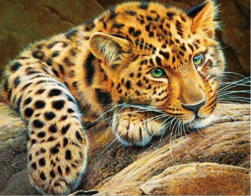 Алмазная живопись LG020 "Африканский леопард" - 0