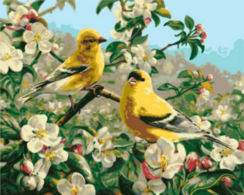 Картина по номерам GX8476 "Желтые птички"