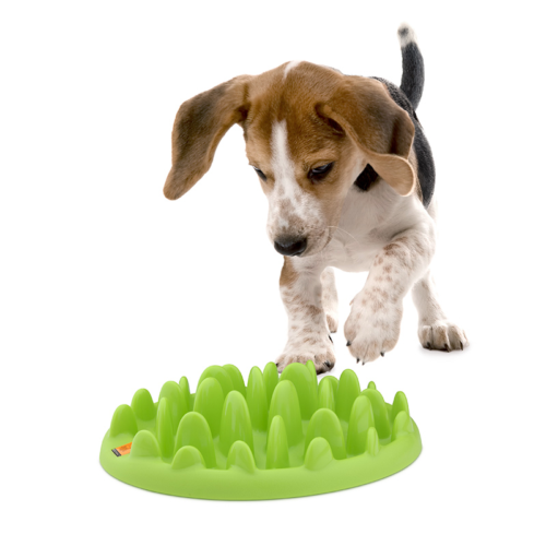 Миска для маленьких собак и щенков NORTHMATE(R) GREEN MINI, светло-зеленый, 290*225*73мм - 2