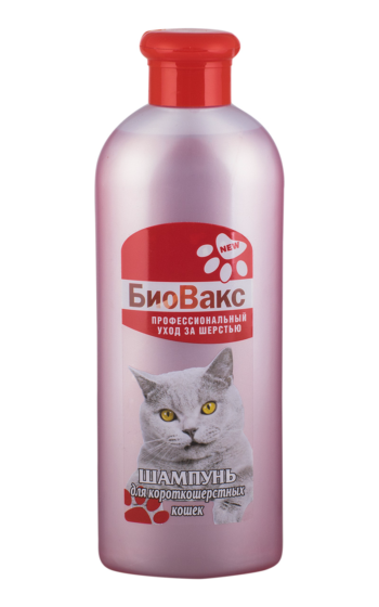БиоВакс - Шампунь для кошек короткошерстных (350мл)