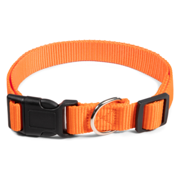 Ошейник нейлоновый для собак "Эталон" XL, оранжевый, 25*400-650мм