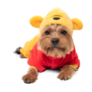 Костюм демисезонный Disney Fun Winnie-the-Pooh M, размер 30см - 0