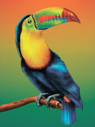 Картина по номерам PE0010 "Тропическая птица" - 0