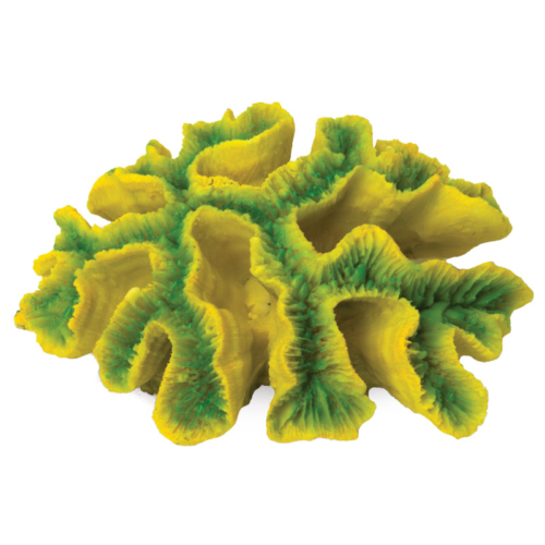 Коралл искусственный "Симфиллия", зелено-желтая, 170*130*65мм - 0