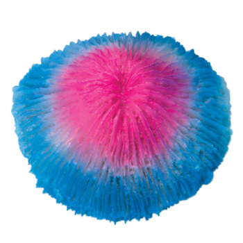 Коралл искусственный "Фунгия", розово-синяя, 100*40*100мм