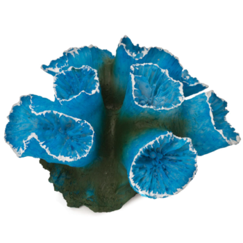 Коралл искусственный "Кауластрея", синяя, 90*85*50мм