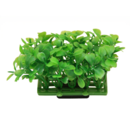 Растение 0526C - Коврик зеленый (6,8см х 4,3см х 6см) - 0