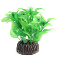 Растение - Альтернантера зеленая (8см) - 0