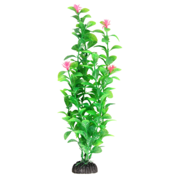 Растение 1040LD - Незея цветущая (20см)