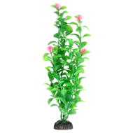 Растение 1042LD - Незея цветущая (40см) - 0
