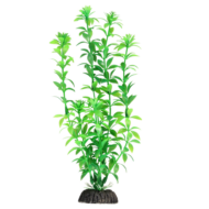 Растение 1048LD - Гемиантус зеленый (20см) - 0