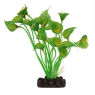 Растение Спатифиллум зеленый - 20см - 0