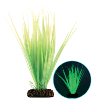 Растение 20079Y светящееся - Бликса зеленая (20см)
