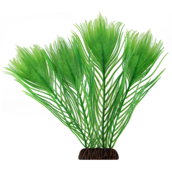Растение Эгерия зеленая - 25см