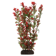 Растение 2952 - Людвигия красная (30см) - 0