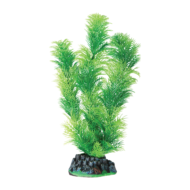 Растение 3012A с распылителем - Маяка зеленая (30см) - 0