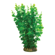 Растение 4015AP с распылителем - Бакопа зеленая (40см) - 0