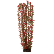Растение 5577 - Людвигия красная (50см) - 0
